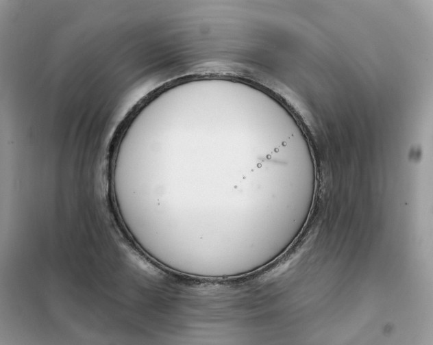 X0000102041075200808011505