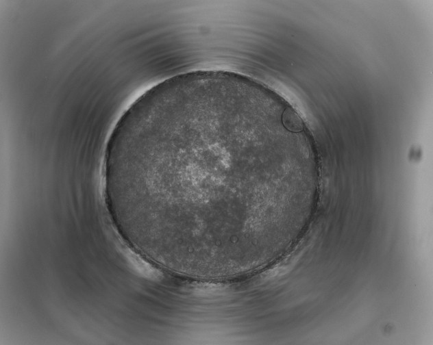 X0000102041076200808011505