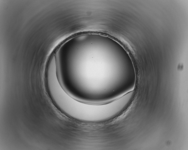 X0000102041077200808011505