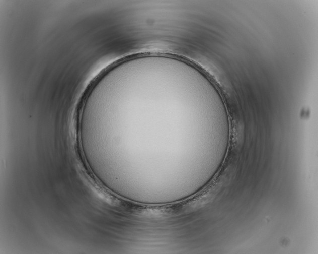 X0000102041078200808011505