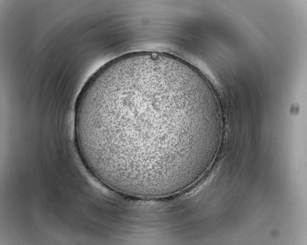 X0000102041079200808011505