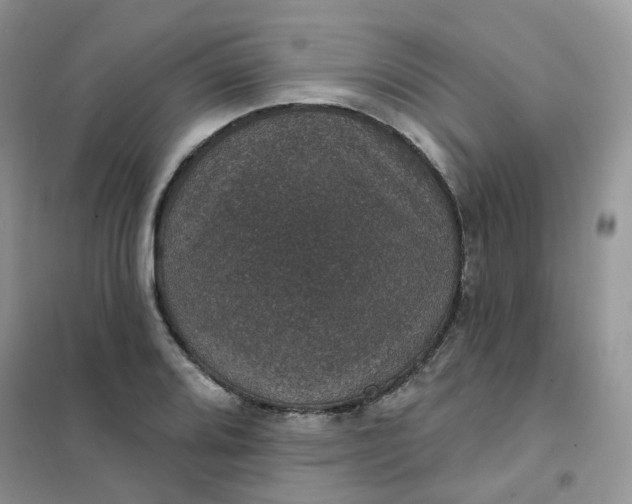 X0000102041080200808011505