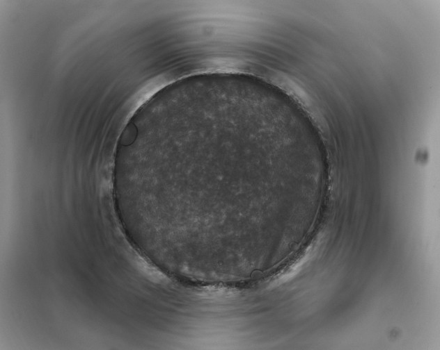 X0000102041081200808011505