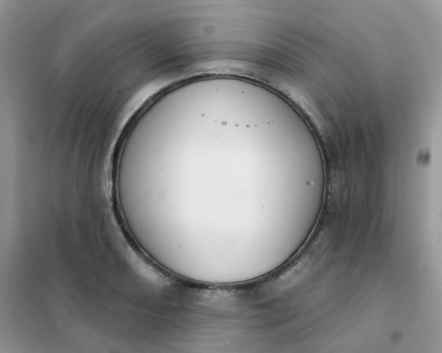 X0000102041082200808011505