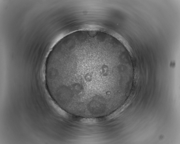 X0000102041083200808011505