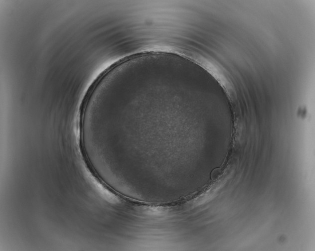 X0000102041084200808011505