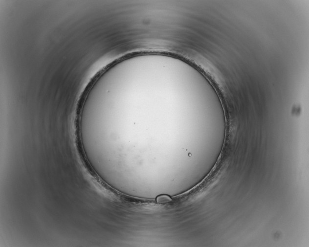 X0000102041085200808011505