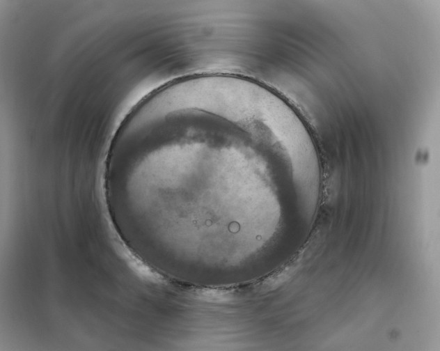 X0000102041086200808011505