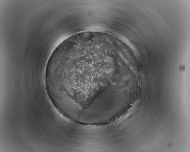 X0000102041087200808011505