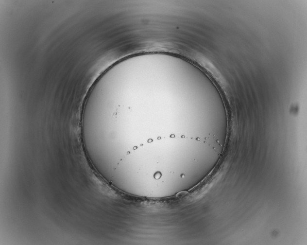 X0000102041089200808011505