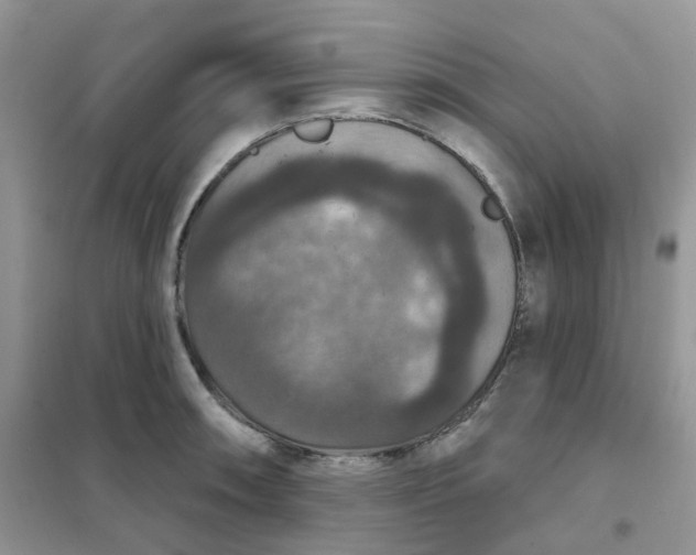 X0000102041090200808011505