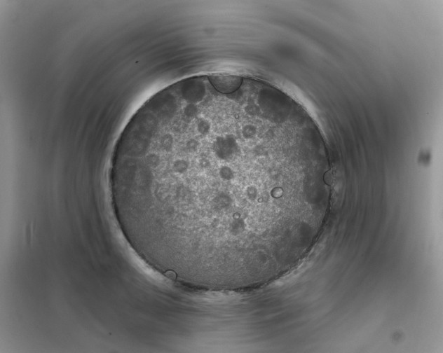 X0000102041091200808011505