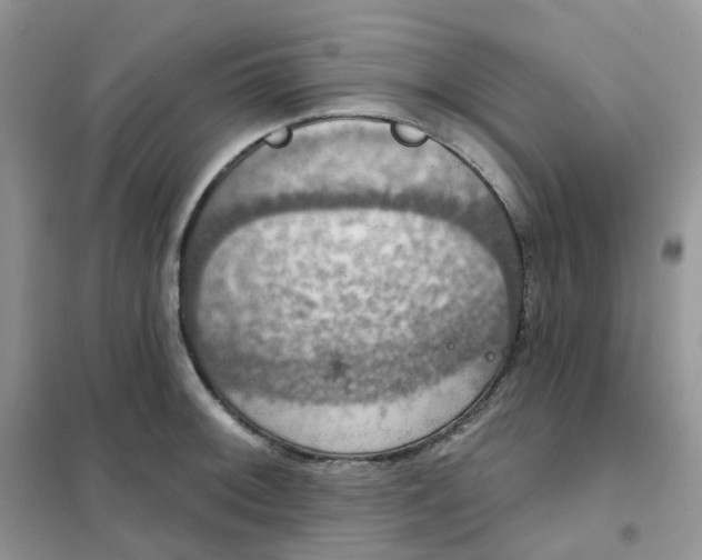 X0000102041092200808011505