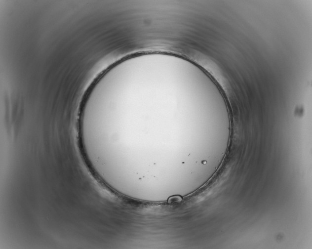 X0000102041093200808011505