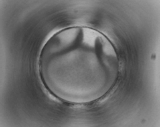 X0000102041094200808011505