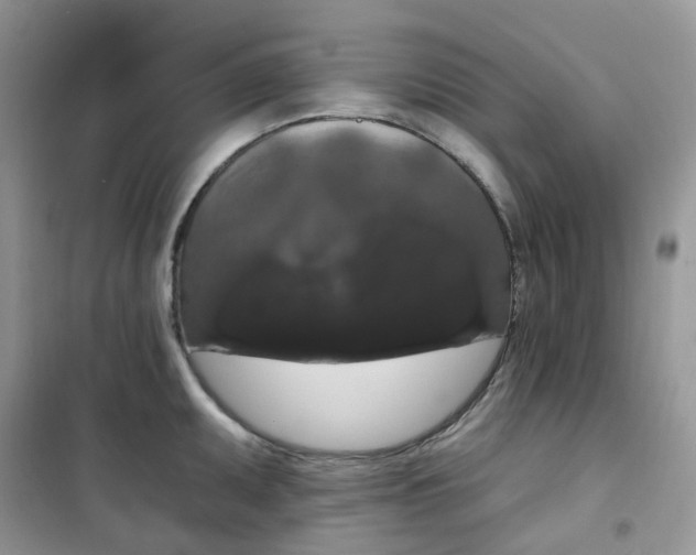 X0000102041095200808011505