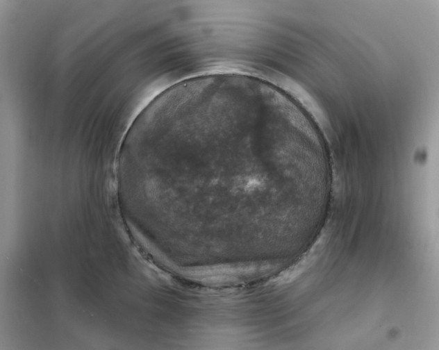 X0000102041097200808011505