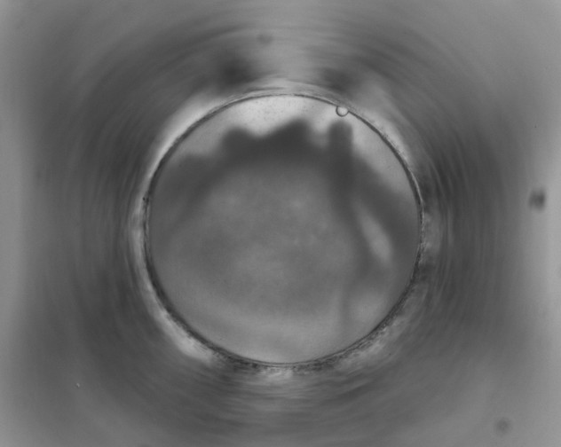 X0000102041098200808011505