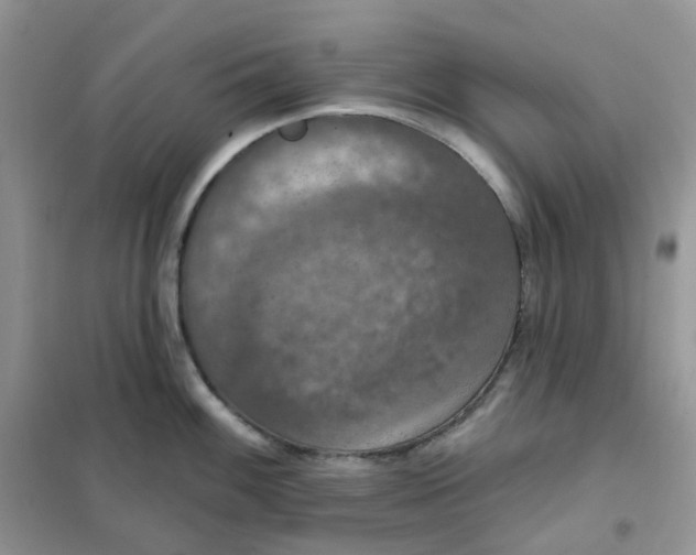 X0000102041100200808011505