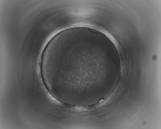 X0000102041102200808011505