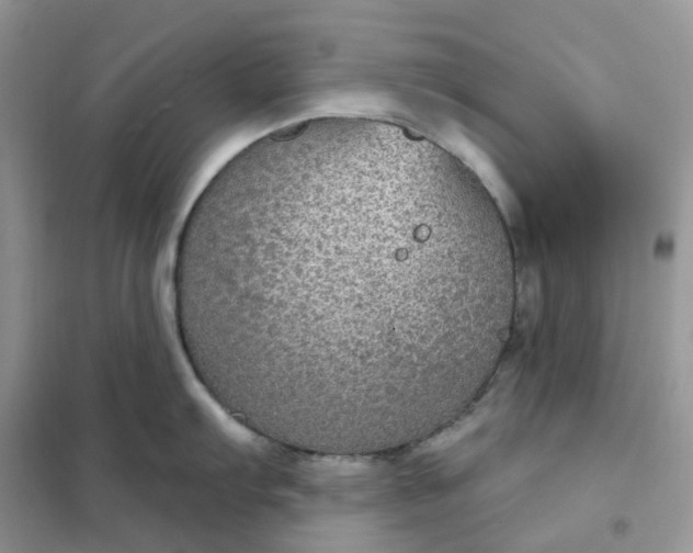 X0000102041103200808011505