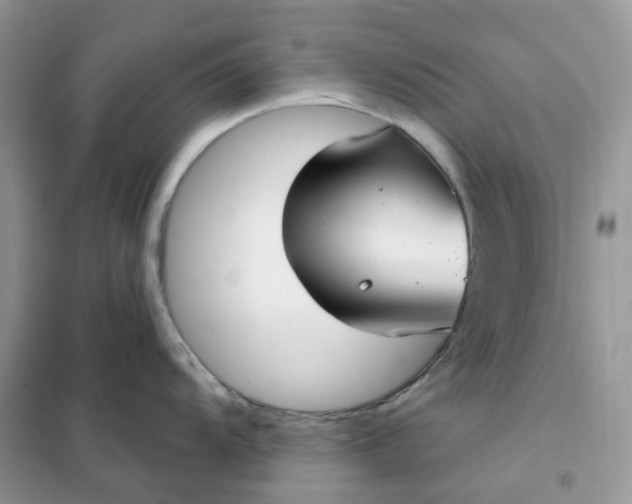 X0000102041104200808011505