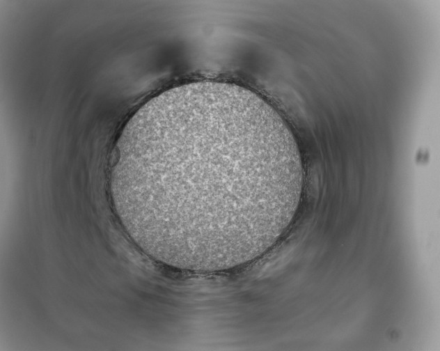 X0000102041105200808011504