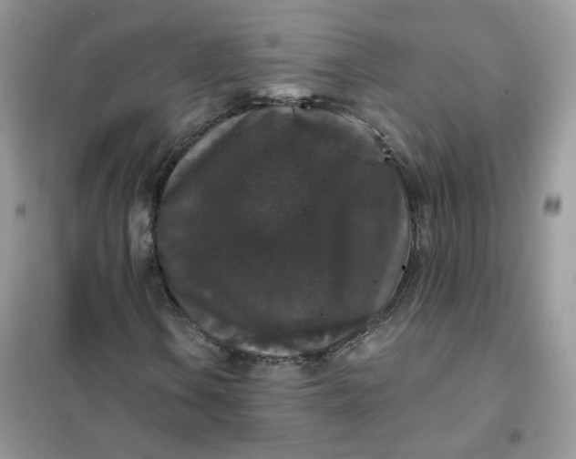 X0000102041106200808011504