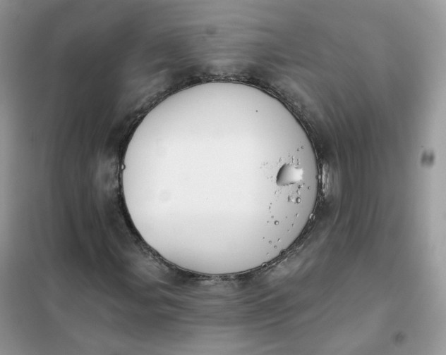 X0000102041107200808011504