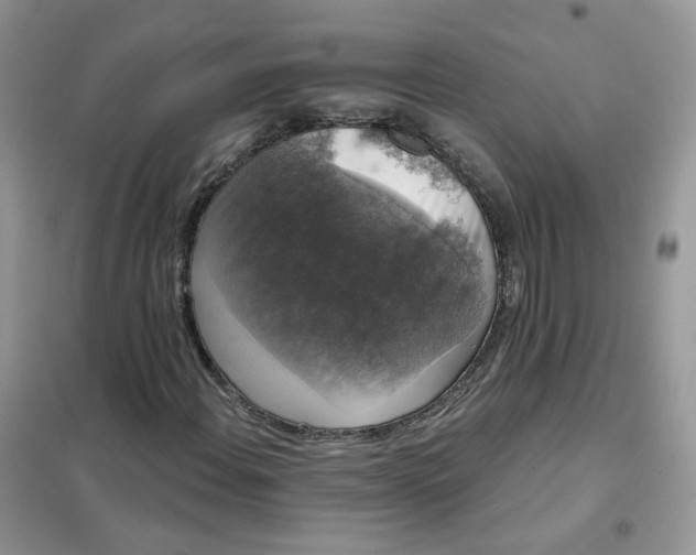 X0000102041108200808011504