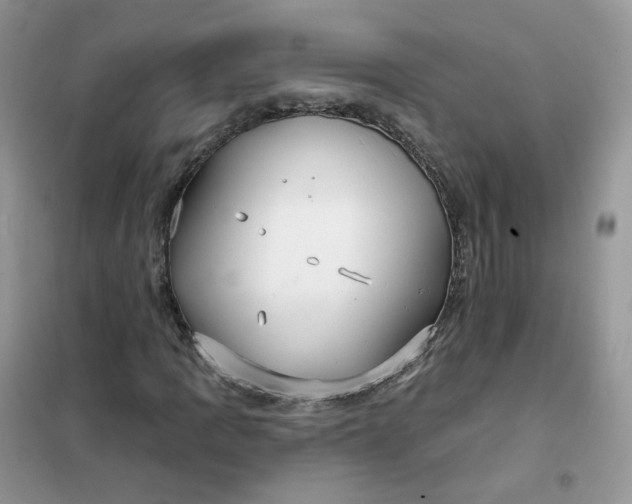 X0000102041109200808011504