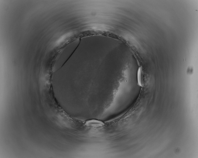 X0000102041110200808011504