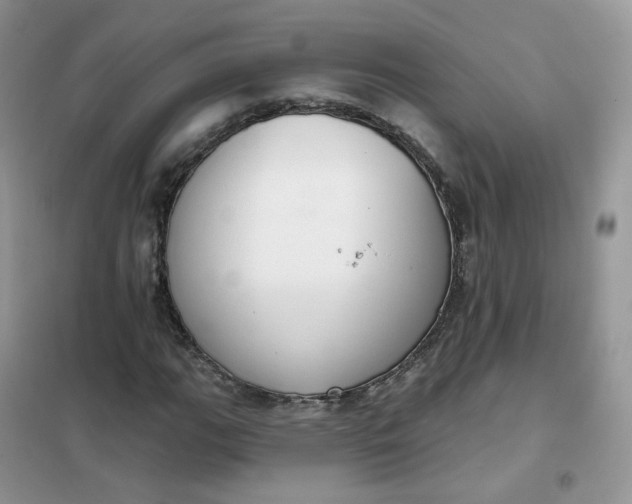 X0000102041111200808011504