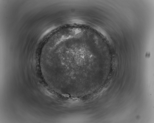 X0000102041112200808011504