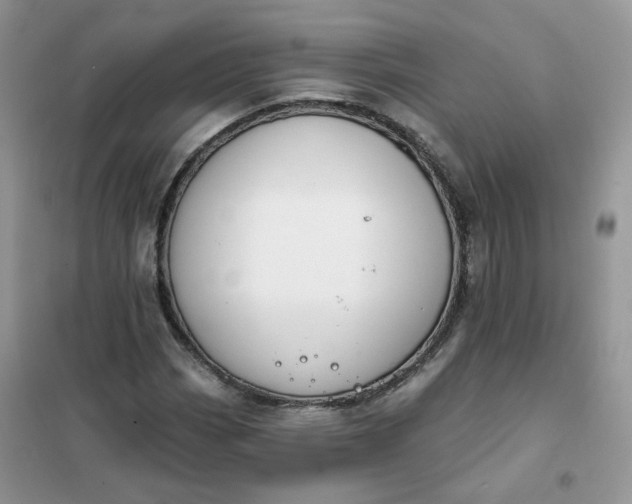 X0000102041113200808011504