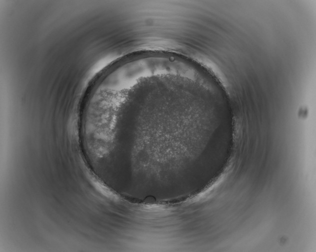 X0000102041114200808011504