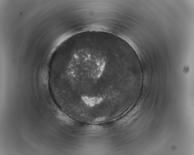 X0000102041115200808011504