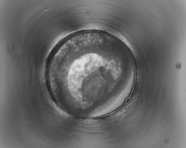 X0000102041116200808011504