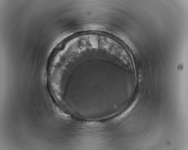 X0000102041117200808011504