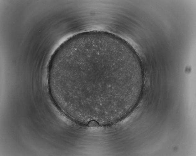 X0000102041118200808011504