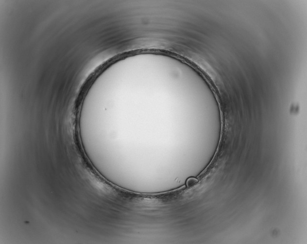 X0000102041119200808011504