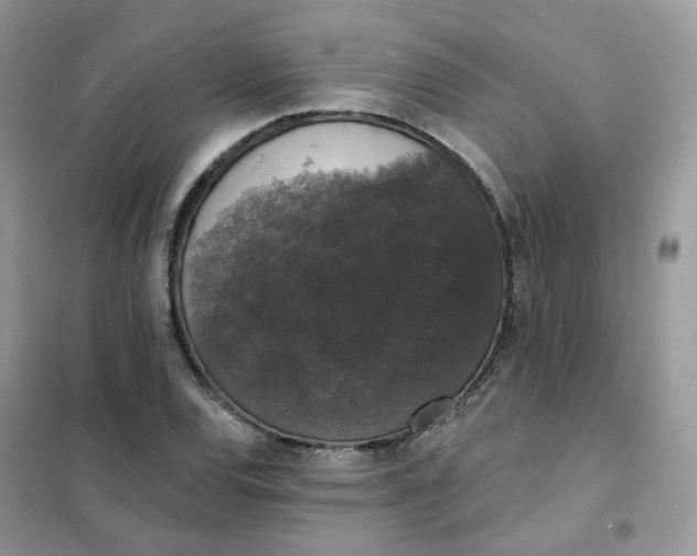 X0000102041120200808011504