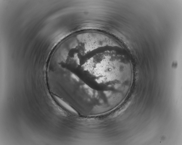 X0000102041121200808011504