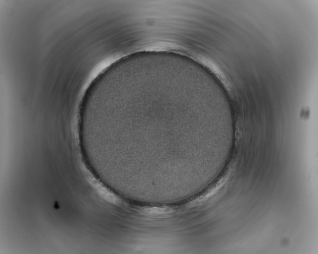 X0000102041122200808011504