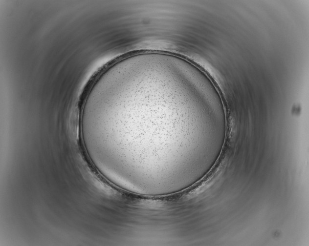 X0000102041123200808011504