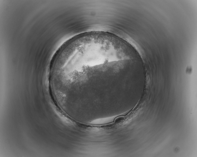 X0000102041124200808011504