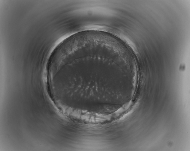 X0000102041125200808011504