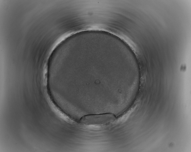 X0000102041126200808011504