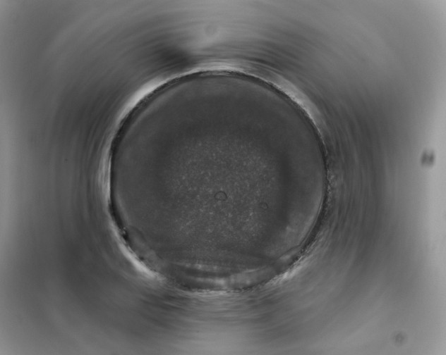 X0000102041127200808011504