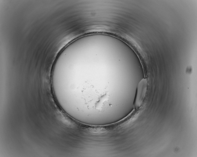 X0000102041129200808011504